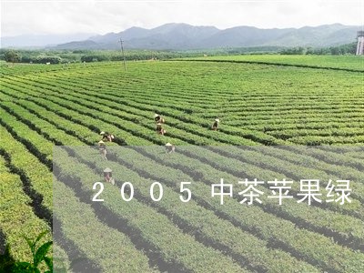 2005中茶苹果绿/2023032144057