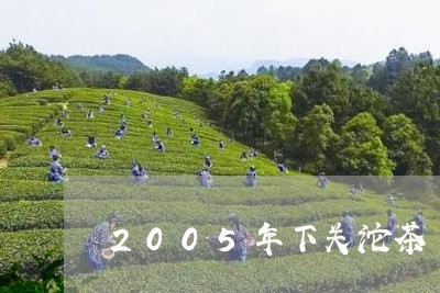 2005年下关沱茶/2023032146148