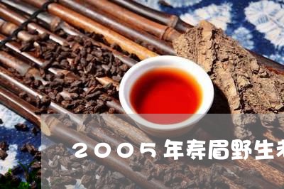 2005年寿眉野生老白茶/2023033063757