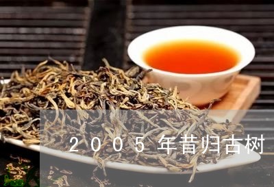 2005年昔归古树/2023031804846