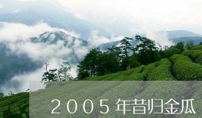 2005年昔归金瓜/2023041414837