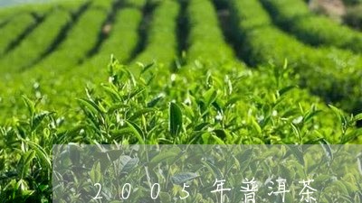 2005年普洱茶/2023031749605