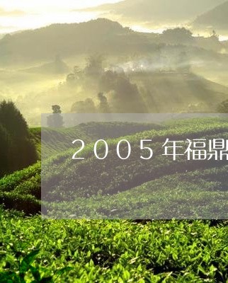 2005年福鼎老白茶茶饼/2023033064947