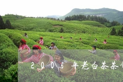 2005年老白茶茶饼价格/2023033045159