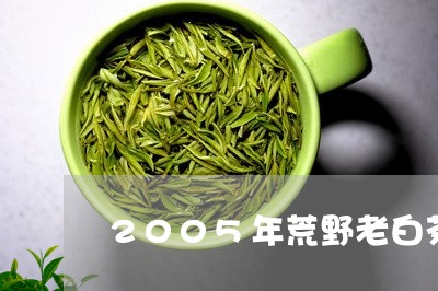 2005年荒野老白茶价格/2023033068683