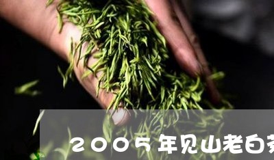 2005年见山老白茶价钱/2023033066272