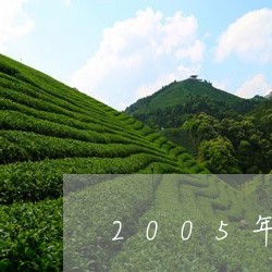 2005年金尖藏茶/2023032030592