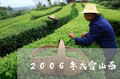 2006年大雪山茶/2023031840794