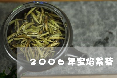 2006年宝焰紧茶/2023032093918