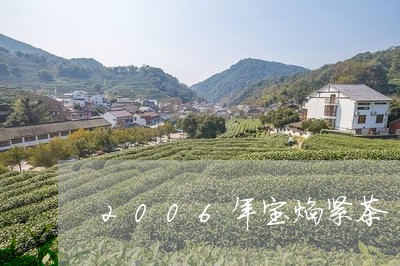 2006年宝焰紧茶/2023041605169