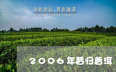 2006年昔归普洱/2023031845079