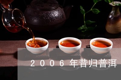 2006年昔归普洱/2023041405068