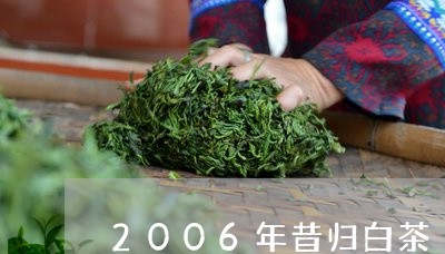 2006年昔归白茶/2023031831604