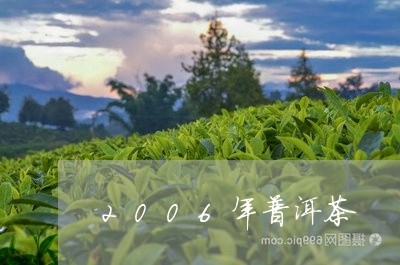 2006年普洱茶/2023031849693