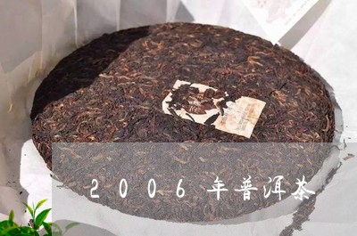 2006年普洱茶/2023041359937