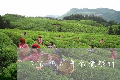 2006年白毫银针/2023041639583