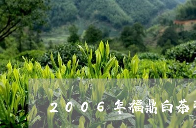 2006年福鼎白茶可以喝/2023033198380