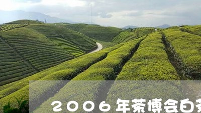 2006年茶博会白茶拍卖/2023033155251