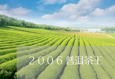 2006普洱茶王/2023031660726