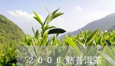 2006熟普洱茶/2023041060706