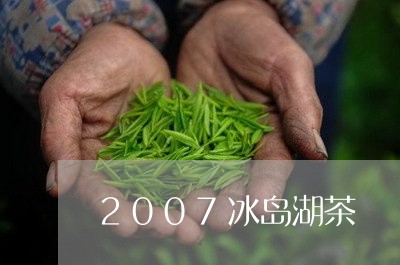 2007冰岛湖茶/2023032840682