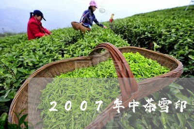 2007年中茶雪印/2023032120604