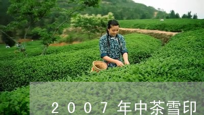 2007年中茶雪印/2023041728493