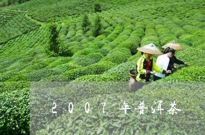 2007年普洱茶/2023031897373