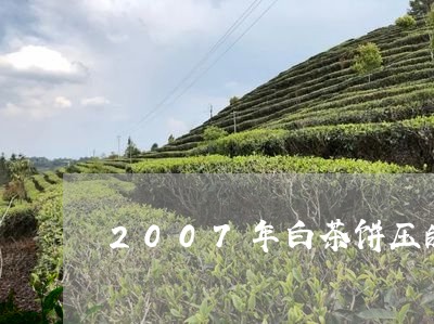 2007年白茶饼压的好紧/2023033105956