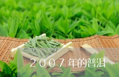 2007年的普洱/2023032919474