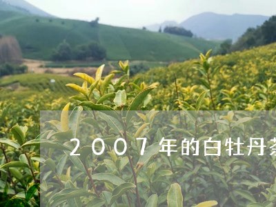 2007年的白牡丹茶价格/2023033186271