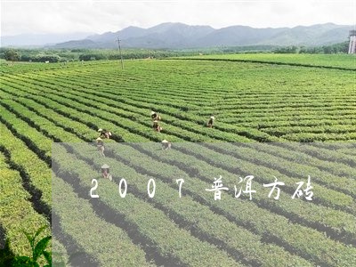 2007普洱方砖/2023032874835