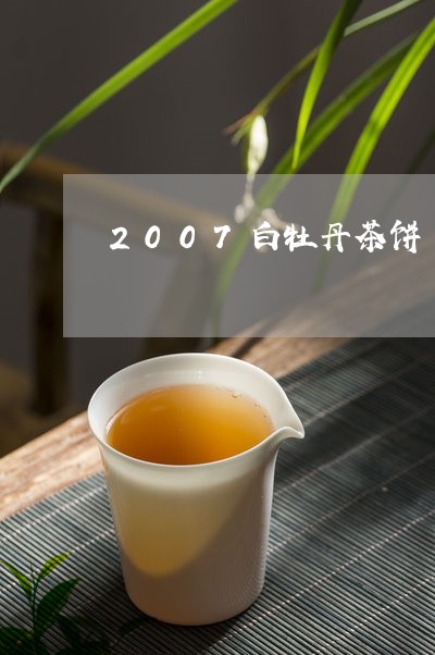 2007白牡丹茶饼/2023041671805