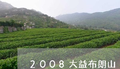 2008大益布朗山/2023032278372