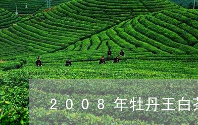 2008年牡丹王白茶价格/2023033159580