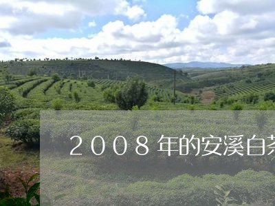 2008年的安溪白茶图片/2023033120594