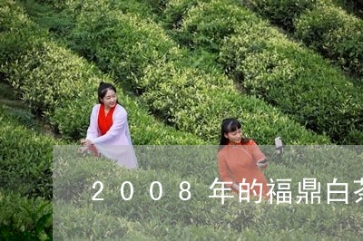 2008年的福鼎白茶价格/2023033116149