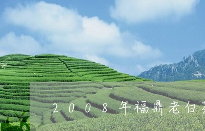 2008年福鼎老白茶磻溪/2023033150671