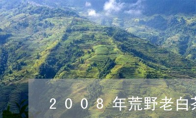 2008年荒野老白茶价格/2023033149573