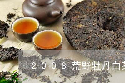 2008荒野牡丹白茶价格/2023033182705