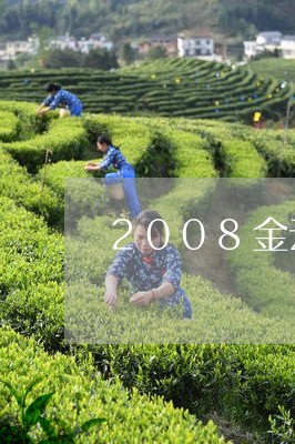 2008金云升陈白茶价格/2023033150704