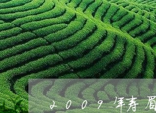 2009年寿眉散茶的鉴别/2023033116168