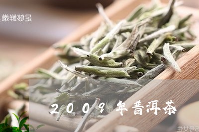 2009年普洱茶/2023041019593