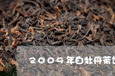 2009年白牡丹茶饼价格/2023033197470