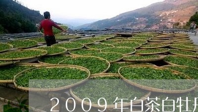 2009年白茶白牡丹价格/2023033106826