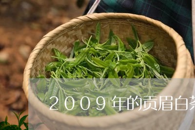 2009年的贡眉白茶价格/2023033155016