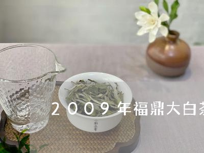 2009年福鼎大白茶寿眉/2023033196947