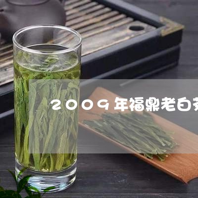 2009年福鼎老白茶价格/2023033124368