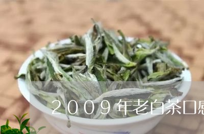 2009年老白茶口感特点/2023033164040