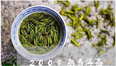 2009熟普洱茶/2023041021693